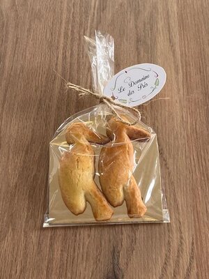 Couple de cigognes