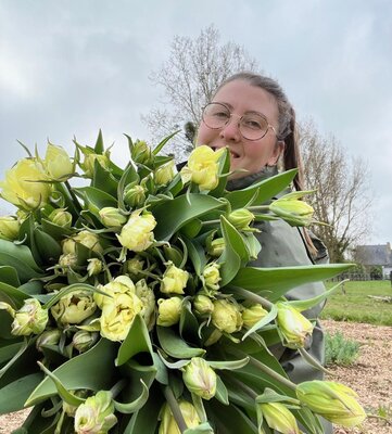 Botte de tulipes
