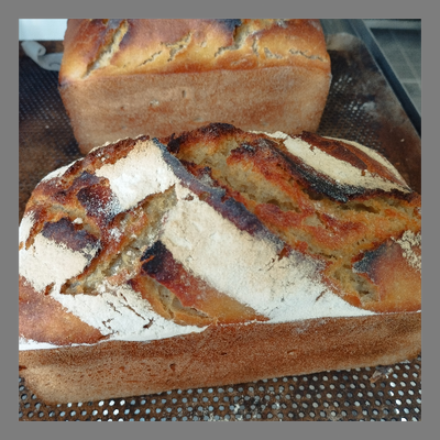 Pain anna (amandes, noix, noisettes, agrumes)