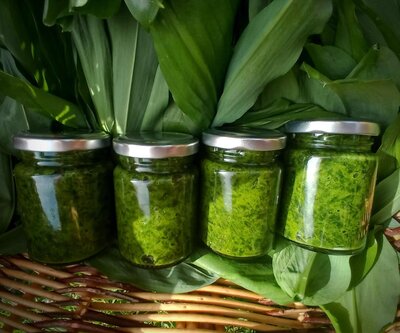 Pesto à l'ail des ours