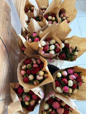 Bouquet de pivoines 5 tiges