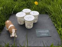 Yaourt nature au lait entier