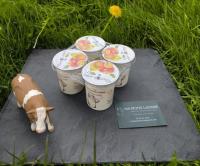 Yaourt brassé fruits du verger