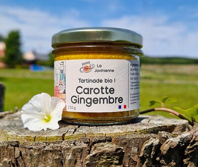 Tartinade bio de carotte au gingembre