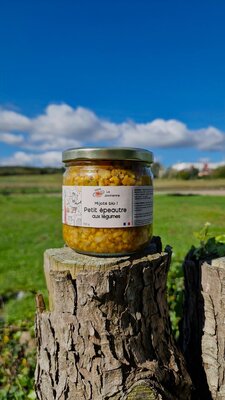 Mijoté bio de petit épeautre aux légumes