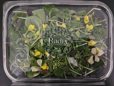 Mesclun de pousses
