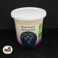 Yaourt aux myrtilles bio