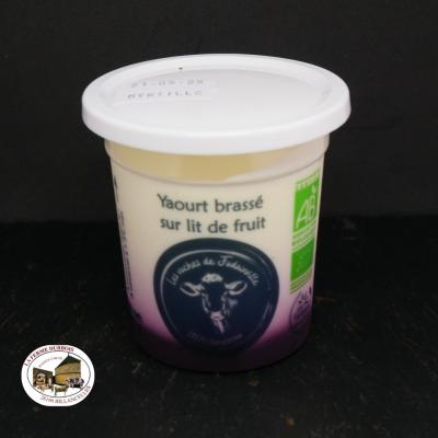 Yaourt aux myrtilles bio