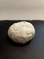 Fromage de chèvre frais cœur coulant à la fig