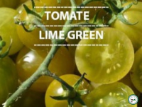 Plant tomate 'lime green'