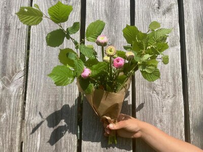 Fleurs - renoncules et feuillage