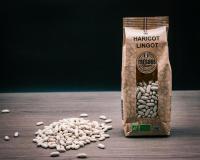 Haricots lingots bio
