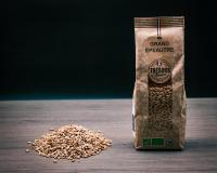Grand epeautre bio