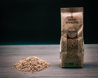 Grand epeautre bio