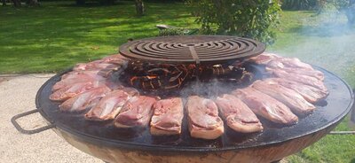 Magrets de canard
