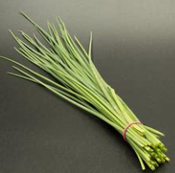 Ciboulette