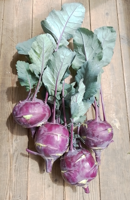 Chou-rave violet bio 💜1kg