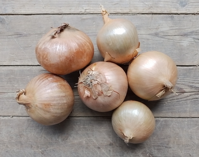 🧅 oignons jaunes bio - 1kg