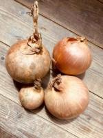 🧅 oignons jaunes bio – 500g