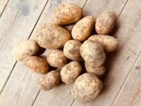 🥔 pommes de terre bio chair ferme – 1kg