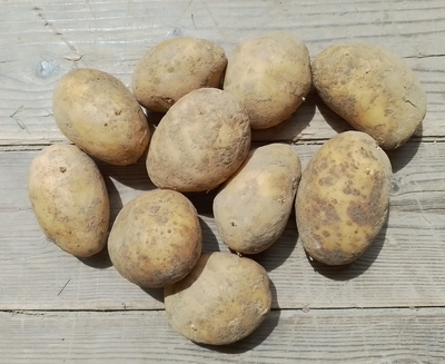 🥔 pommes de terre bio chair ferme – 500g