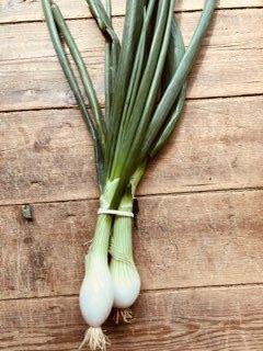 🥬 ciboule bio en botte