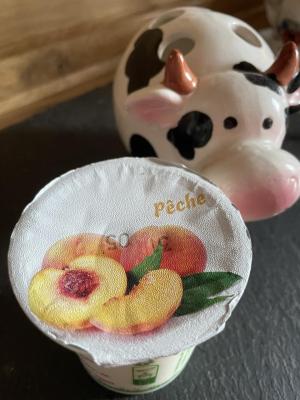 Yaourt pêche