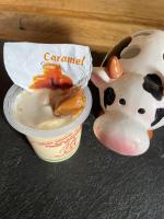 Yaourt caramel