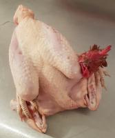 🍗poulet entier - entre 1,6 kg et 1,7 kg