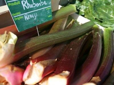 Rhubarbe