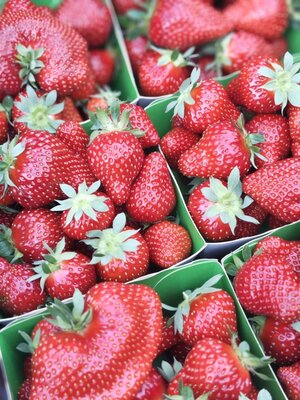 Fraises dream