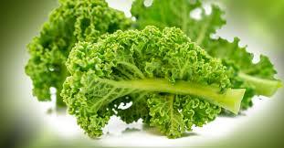 Chou kale