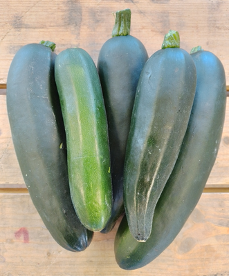 🥒 courgettes longues