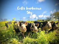 Colis barbecue 5kg - porc plein air