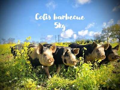 Colis barbecue 5kg - porc plein air