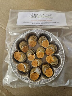 12 coquilles à la catalane