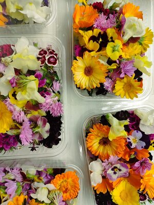 Mélange fleurs
