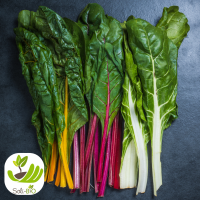 🥬 blettes fraîches de solibio 🌱