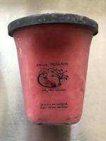 Sorbet fermier fruits rouges