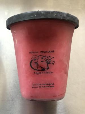 Sorbet fermier fruits rouges
