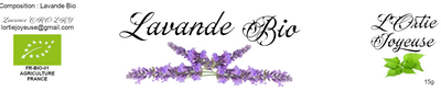 Lavande
