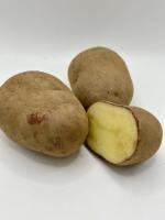 Pomme de terre conservation variété rose ruby