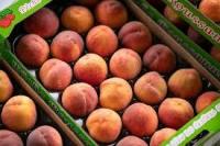 Pêche roussanne - plateau de 2,5 kg env.