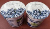 Yaourt brassé myrtille lehmann bio 2 x 125gr