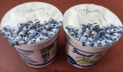 Yaourt brassé myrtille lehmann bio 2 x 125gr