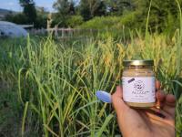 Aillade au miel (tartinade d'ail aromatisée)