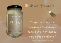 Miel d'acacia - 250g