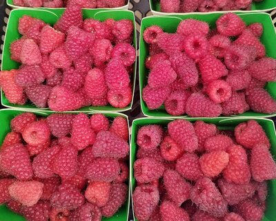 Framboises