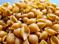 Conchiglie petit épeautre (450g) t110