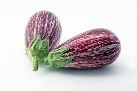 Aubergine zébré